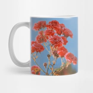 Aesthetic roses Flowers Mug